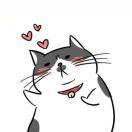 我和詹皇55开的个人资料头像