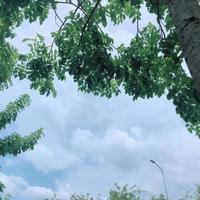 初十8493头像