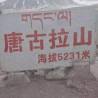 黄金搭档9939头像