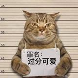 Hoo428头像