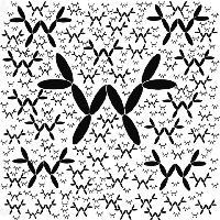 不拉的皮特头像