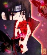 Akatsuki的个人资料头像