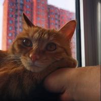 演不完的角色头像