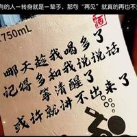 纳智捷U7头像