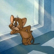 SHUAI的个人资料头像