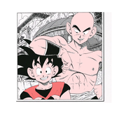 代码菊菊的个人资料头像