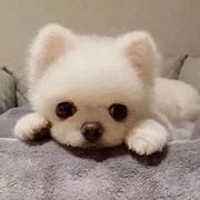 小G呀的个人资料头像