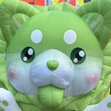 无敌国宝大panda头像