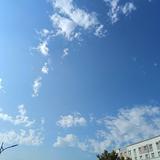 安好4541头像