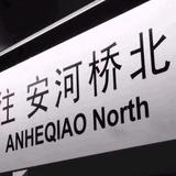 雪狼虎01头像