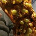 悲伤穿透眼眸的老男孩头像