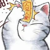 S皇者之风S头像
