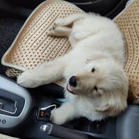 用户3983776102326头像