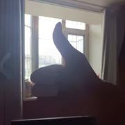 人间百乐的个人资料头像