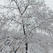 慎独585的个人资料头像