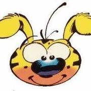 haaju502的个人资料头像