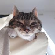 Wind913的个人资料头像