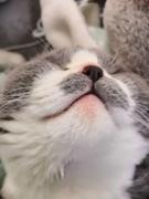 33vs99的个人资料头像