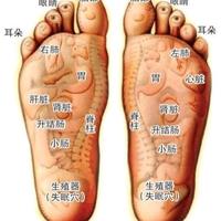 小臭驴博博头像