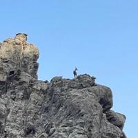 自在无定风波头像