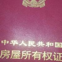 所有陈涛集合了头像