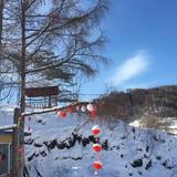 心静若雪568头像