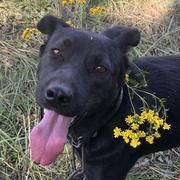 快乐流水的个人资料头像