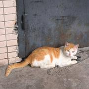 黑桃terminator的个人资料头像