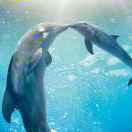 lzygo的个人资料头像