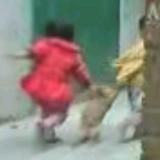 杰克罗素葡萄头像