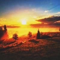 聪慧熊猫Jr3头像