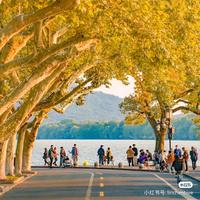 直率暖阳kDF头像