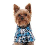 云帆小站的个人资料头像