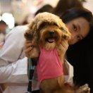 winwin爱学习的个人资料头像