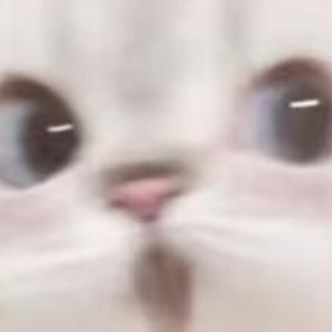 殺o头像
