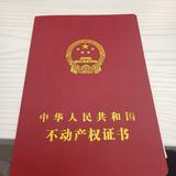 青浦小张探房头像