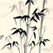 Looper阿的个人资料头像