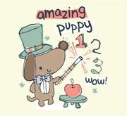 sfgu4444的个人资料头像