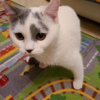 零点零三分618头像