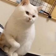 xqd的个人资料头像