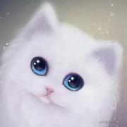 fcppddl的个人资料头像