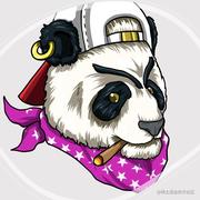 老麦胖熊猫的个人资料头像