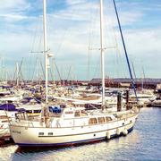 _同志23304的个人资料头像