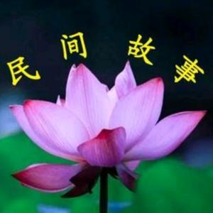 懒怪猫头像
