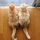 阿俊的个人资料头像