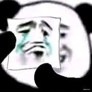 不爱学习的七哥哥的个人资料头像