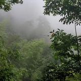 user8880731365893头像