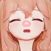 啊毛毛的个人资料头像