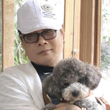 伟歌在金陵头像