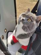 努力薅代码的小白的个人资料头像